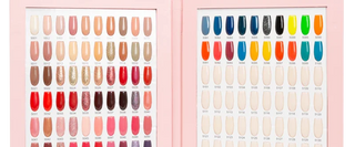 Kiara Sky All In One color book showing swatched dip and gel shades