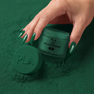 PLA Matching Colors - 131 Under the Mistletoe