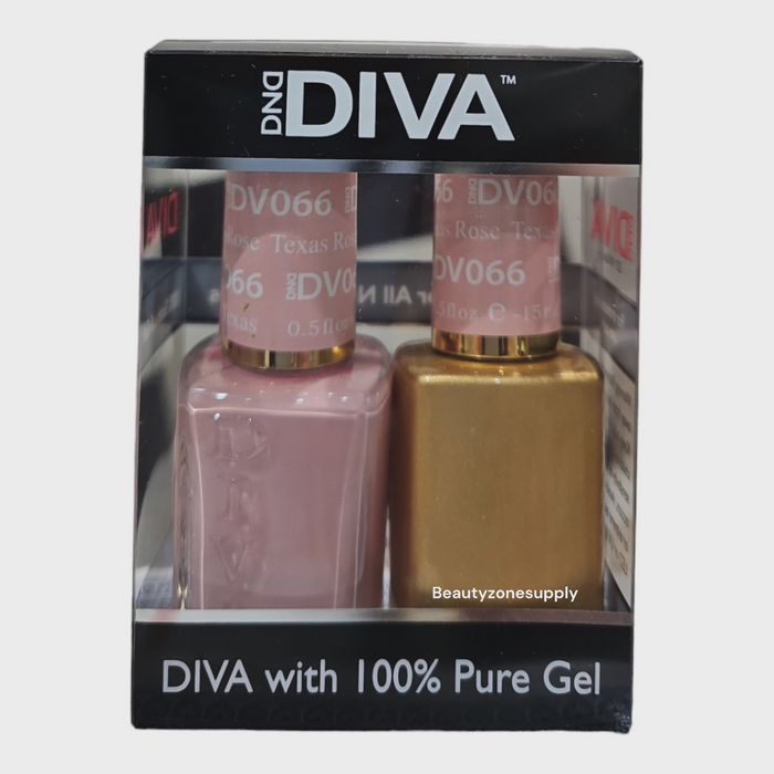 DIVA Matching Duo - 066
