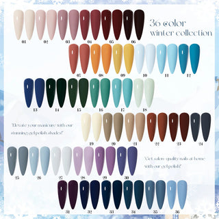 Nacy Winter Gel Set 36 Colors w/ 1 Color Book