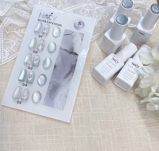 Nacy Silver Moon Cat Eye Gel - Set 5 Colors w/ 1 Color Chart