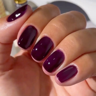 DIVA Matching Color - 254
