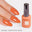 OT13 Orange You In Control