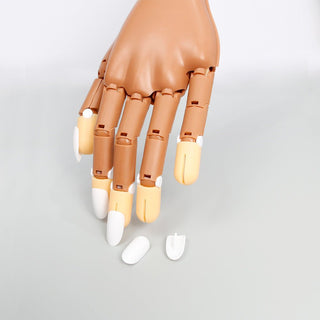 Cre8tion Flexible Tabletop Jointed Practice Hand with Long Clamp (NEW VERSION) - C8 Nail SupplyCre8tion10204