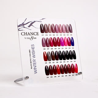 Chance Counter Display Color Chart - Winter Wish Collection