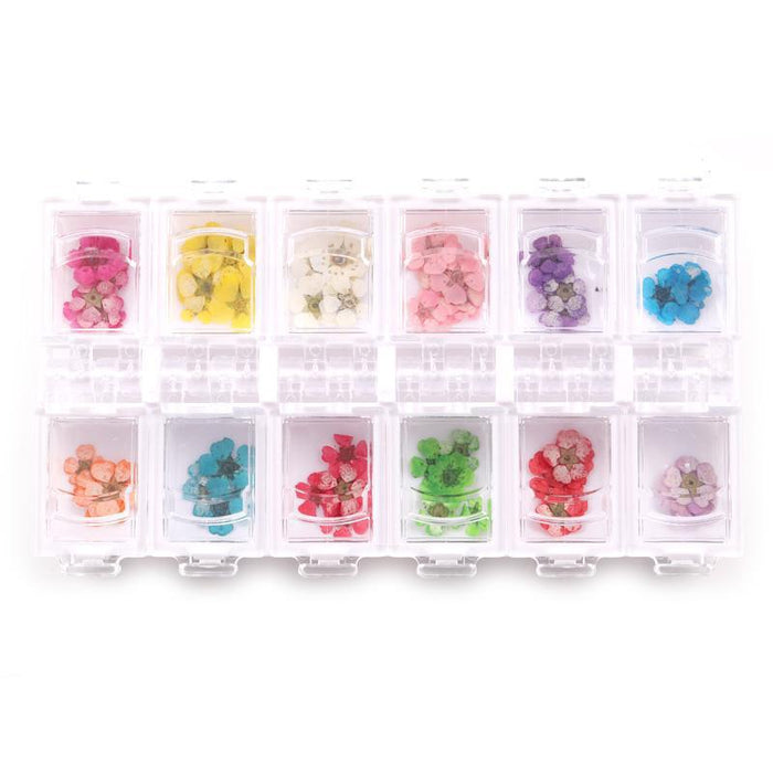 Cre8tion Dry Flower 12 colors/tray