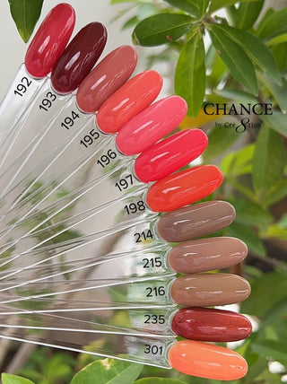 Chance Matching Color Gel & Nail Lacquer 0.5oz - 48 Colors - Autumn Spice Collection w/ 1 Color Chart - C8 Nail SupplyCre8tionCHANCE48-AUTUMN